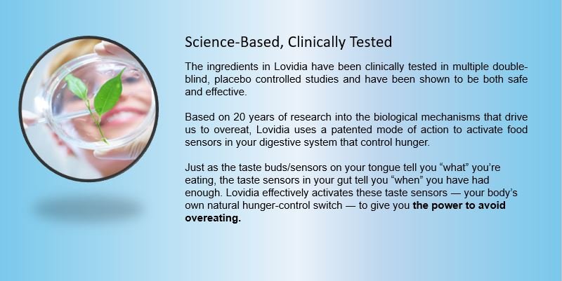 Lovidia-image4